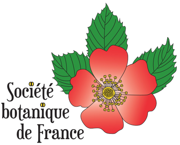 logo-SBF